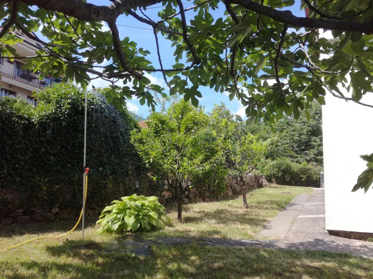 Apartment Garden