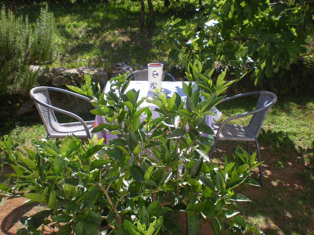Apartment Garden *