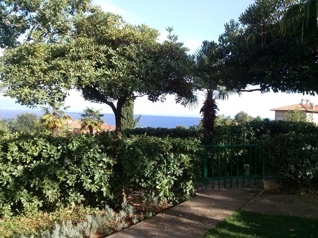 Garden *